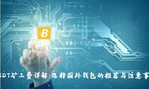 USDT矿工费详解：选择国外钱包的推荐与注意事项
