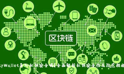tpWallet导入私钥安全吗？全面解析私钥安全性及防范措施