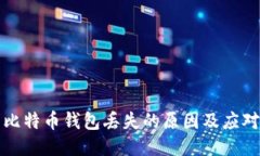 中文比特币钱包丢失的原因及应对策略