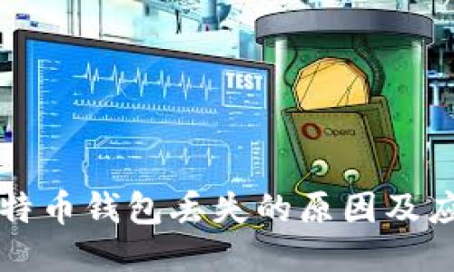 中文比特币钱包丢失的原因及应对策略