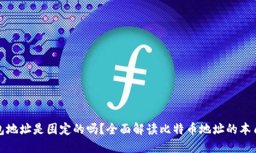 比特币钱包地址是固定的吗？全面解读比特币地址的本质与变动性