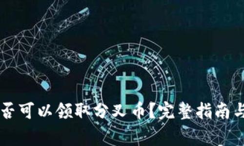 以太坊钱包是否可以领取分叉币？完整指南与常见问题解析