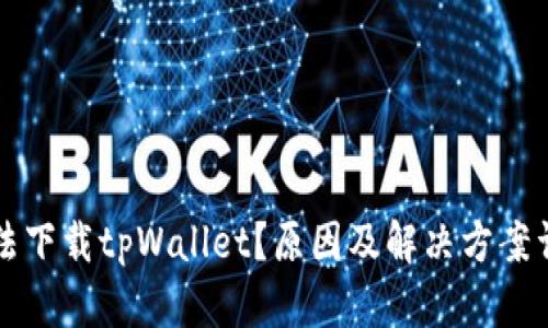 无法下载tpWallet？原因及解决方案详解