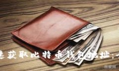 如何快速获取比特币钱包地址：全面指