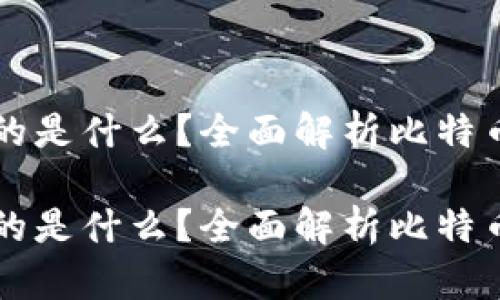 比特币钱包存放的是什么？全面解析比特币钱包与数字资产

比特币钱包存放的是什么？全面解析比特币钱包与数字资产