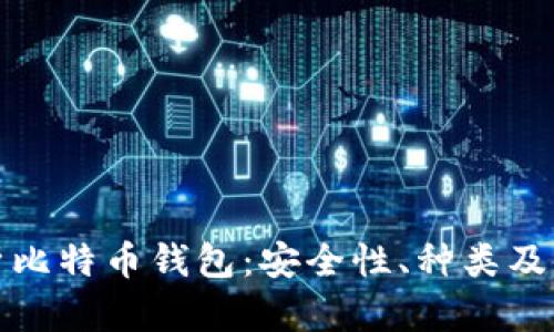 全面解析比特币钱包：安全性、种类及使用技巧