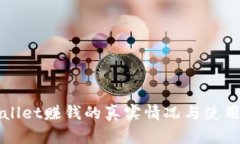 tpWallet赚钱的真实情况与使用指南