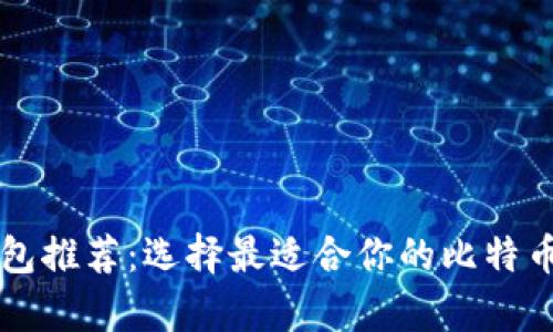 比特币钱包推荐：选择最适合你的比特币存储方式