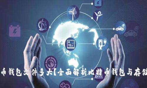 比特币钱包文件多大？全面解析比特币钱包与存储容量