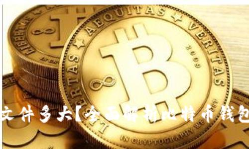 比特币钱包文件多大？全面解析比特币钱包与存储容量