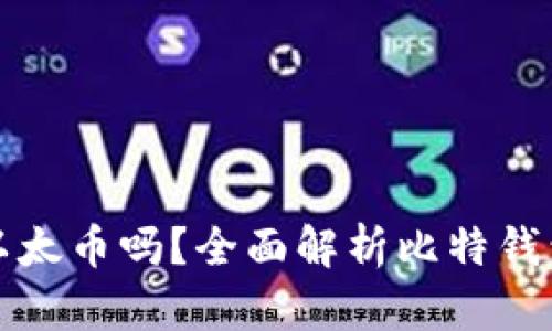 比特钱包能存储以太币吗？全面解析比特钱包与以太币兼容性
