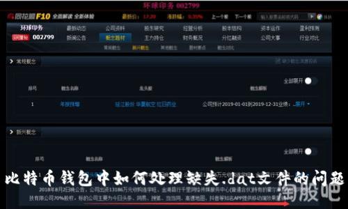 比特币钱包中如何处理缺失.dat文件的问题