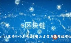 tpWallet没有BNB怎么办？解决方案与使用