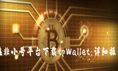 如何在非小号平台下载tpWallet：详细操作指南