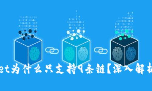 苹果TPWallet为什么只支持9条链？深入解析原因及影响