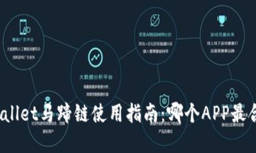 tpWallet马蹄链使用指南：哪个APP最合适？