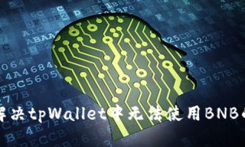 如何解决tpWallet中无法使用BNB的问题