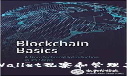 如何使用tpWallet观察和管理其他人的钱包