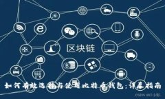 如何有效选择与使用比特币钱包：详尽