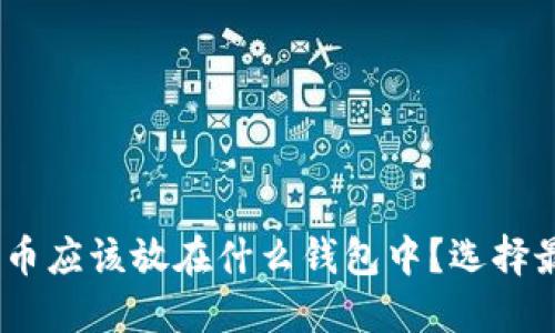 USDT购买的币应该放在什么钱包中？选择最佳钱包指南