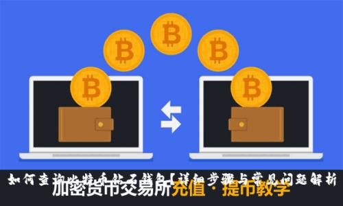 如何查询比特币钻石钱包？详细步骤与常见问题解析