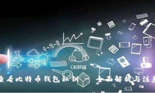 如何查看比特币钱包私钥 - 全面解析与注意事项