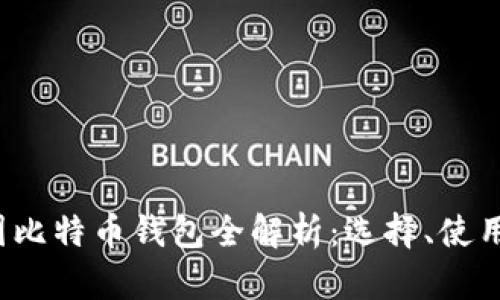 2023年中国比特币钱包全解析：选择、使用与安全指南