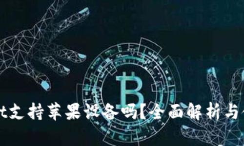 tpWallet支持苹果设备吗？全面解析与使用指南