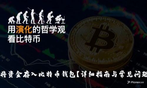 如何将资金存入比特币钱包？详细指南与常见问题解析