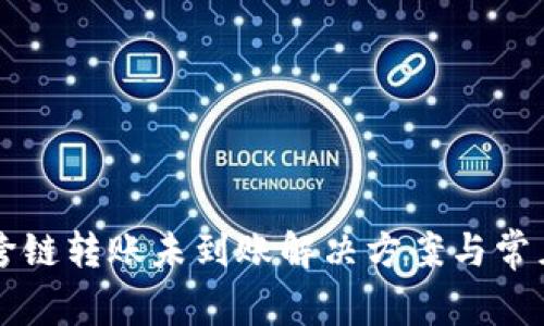 tpWallet跨链转账未到账解决方案与常见问题解析