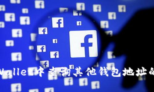 如何在tpWallet中查询其他钱包地址的详细步骤