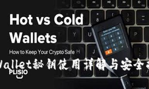 tpWallet秘钥使用详解与安全指南