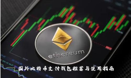 国外比特币支付钱包推荐与使用指南
