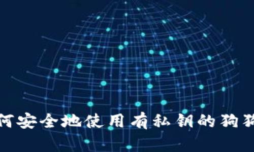 bias如何安全地使用有私钥的狗狗币钱包