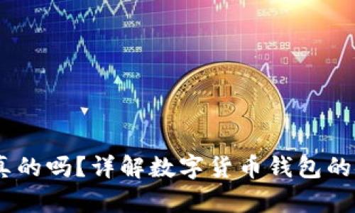 钱包兑换USDT是真的吗？详解数字货币钱包的安全性与使用技巧