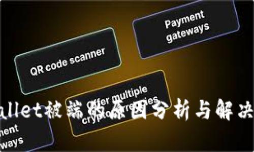 tpWallet被端的原因分析与解决措施