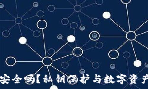  
tpWallet安全吗？私钥保护与数字资产安全指南