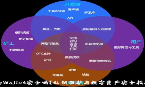   
tpWallet安全吗？私钥保护与数字资产安全指南