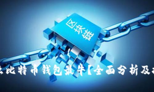 什么比特币钱包最牛？全面分析及推荐