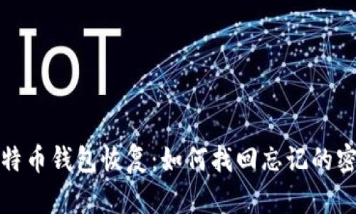 比特币钱包恢复：如何找回忘记的密码