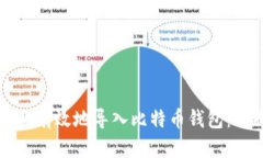 如何安全有效地导入比特币钱包：全面