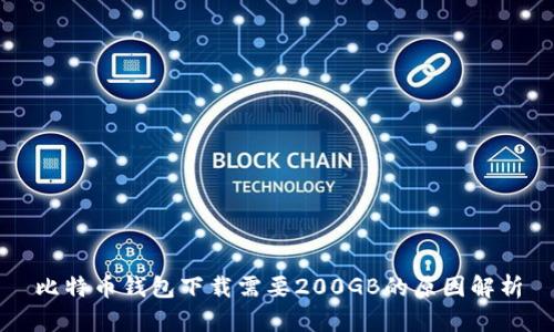 比特币钱包下载需要200GB的原因解析