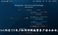 tpWallet倒闭了？用户如何保障数字资产